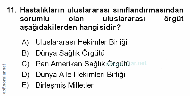 Soru 11