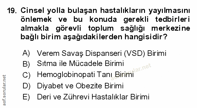 Soru 19