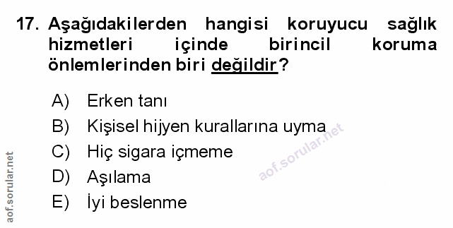 Soru 17