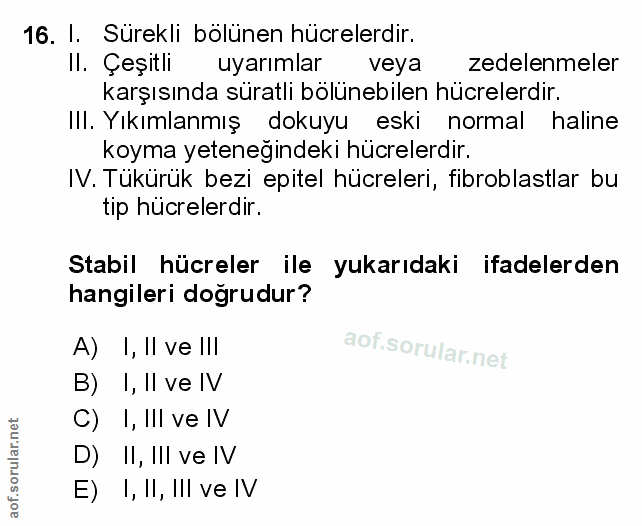 Soru 16