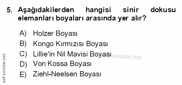 Soru 5