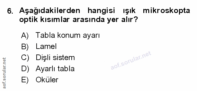 Soru 6