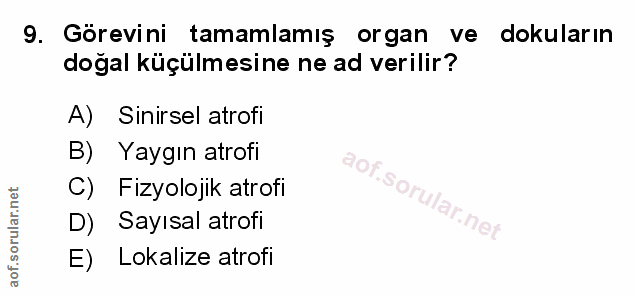 Soru 9