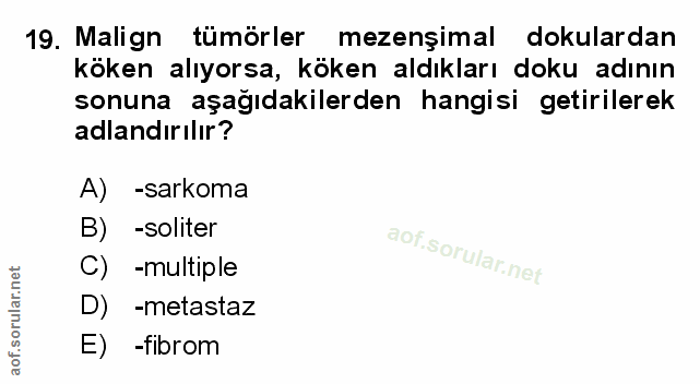 Soru 19