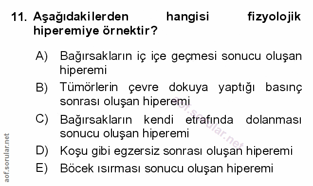 Soru 11