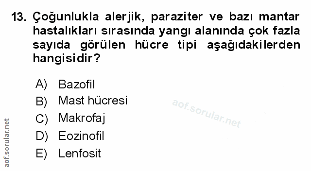 Soru 13