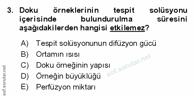 Soru 3