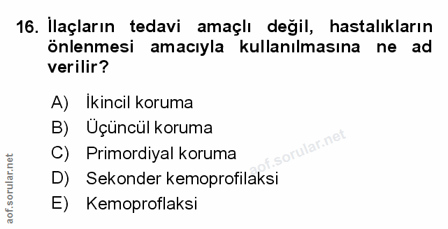 Soru 16