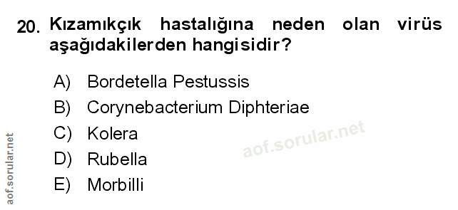 Soru 20