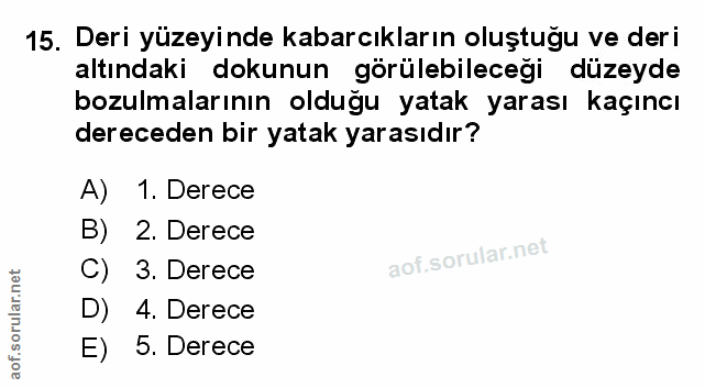 Soru 15