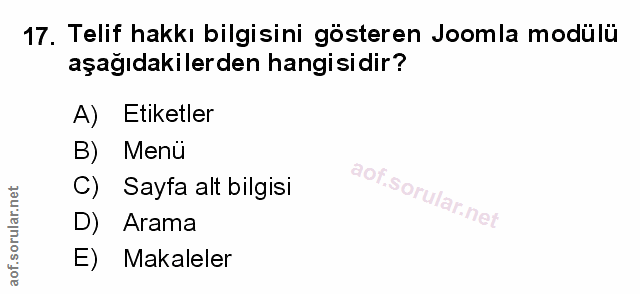Soru 17