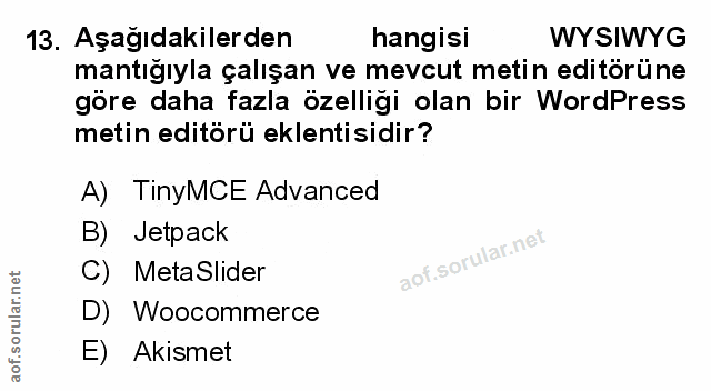 Soru 13
