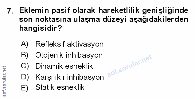 Soru 7