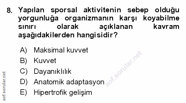 Soru 8
