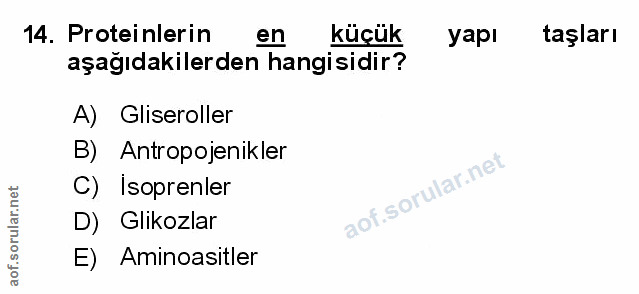 Soru 14