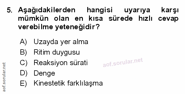 Soru 5