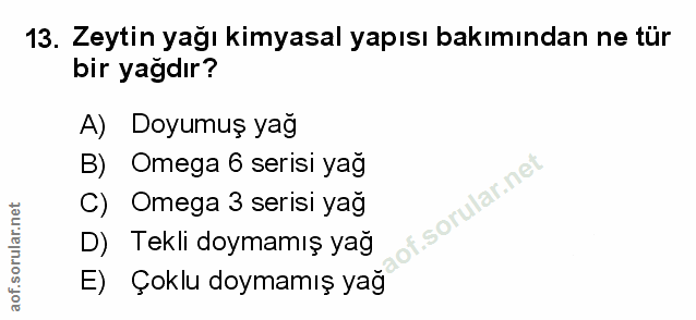 Soru 13