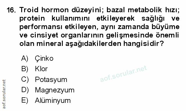 Soru 16
