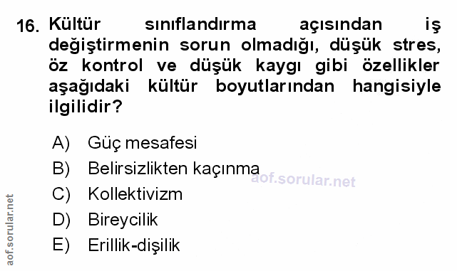 Soru 16