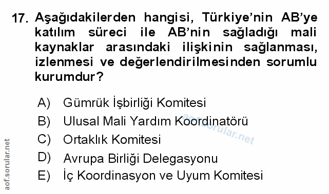 Soru 17