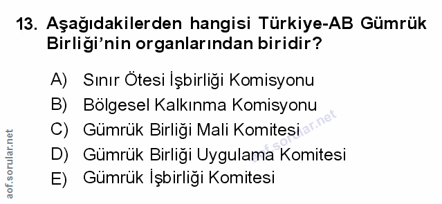 Soru 13