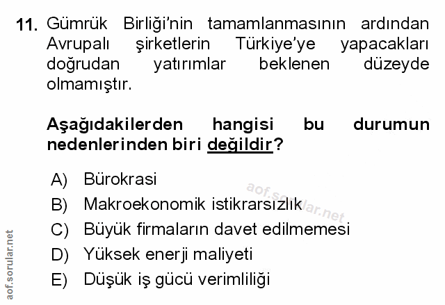 Soru 11