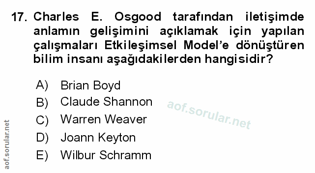 Soru 17