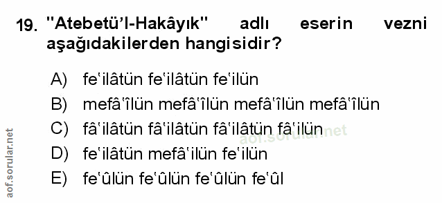 Soru 19