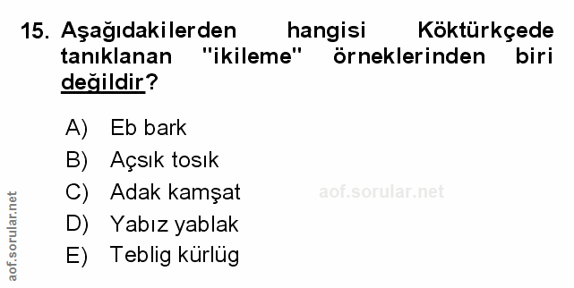 Soru 15