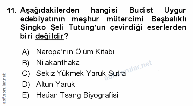 Soru 11