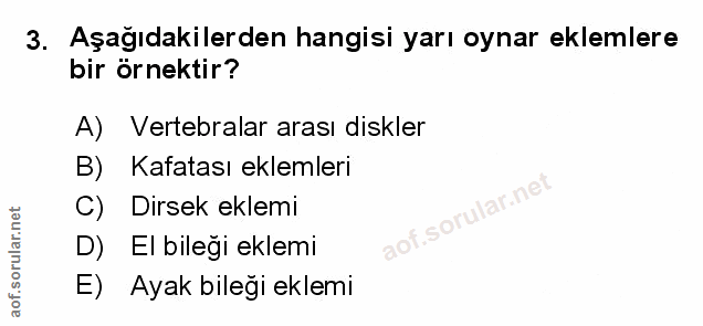 Soru 3