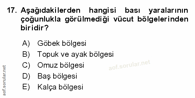 Soru 17