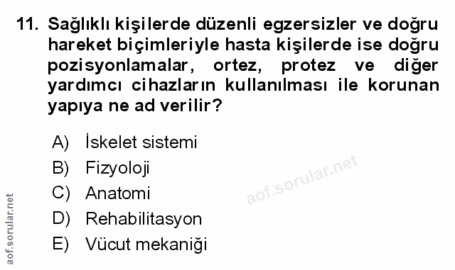 Soru 11