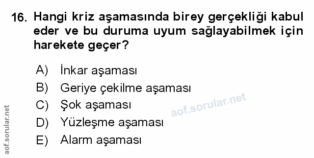 Soru 16