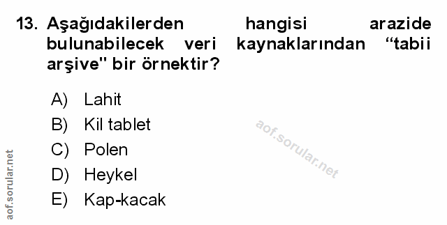 Soru 13