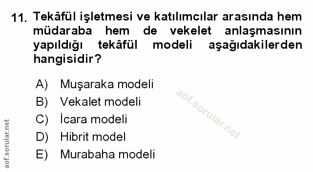 Soru 11