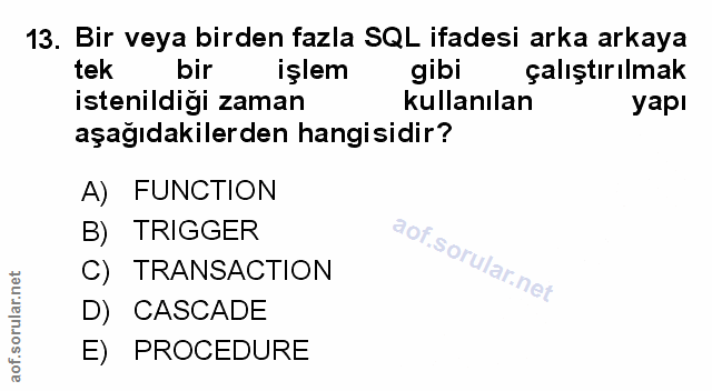 Soru 13