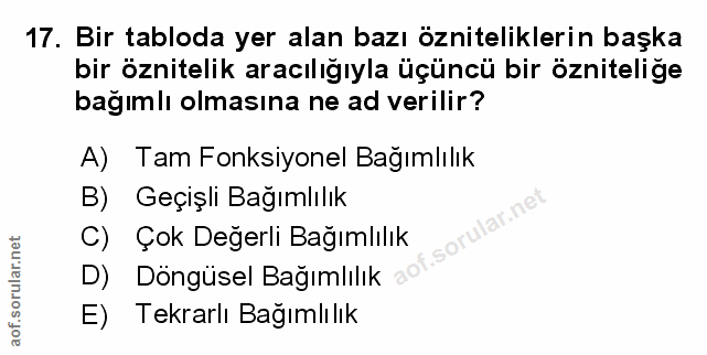 Soru 17