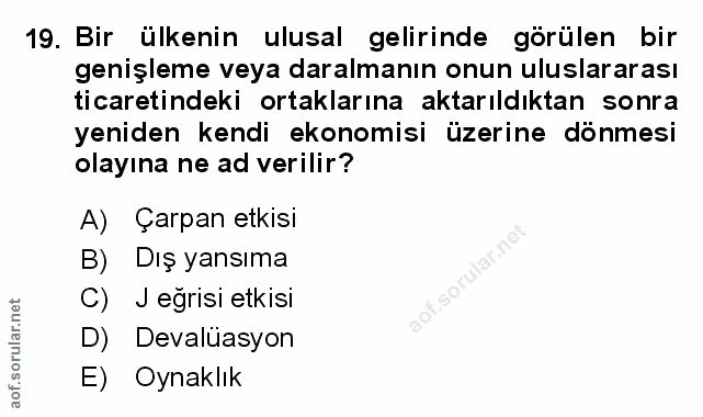 Soru 19