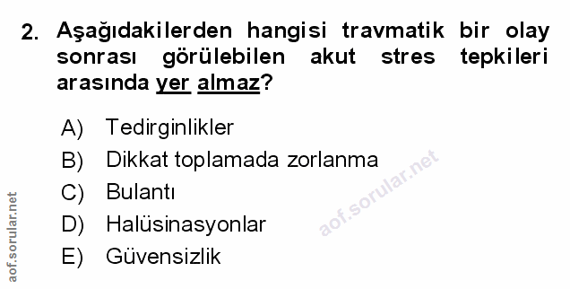 Soru 2