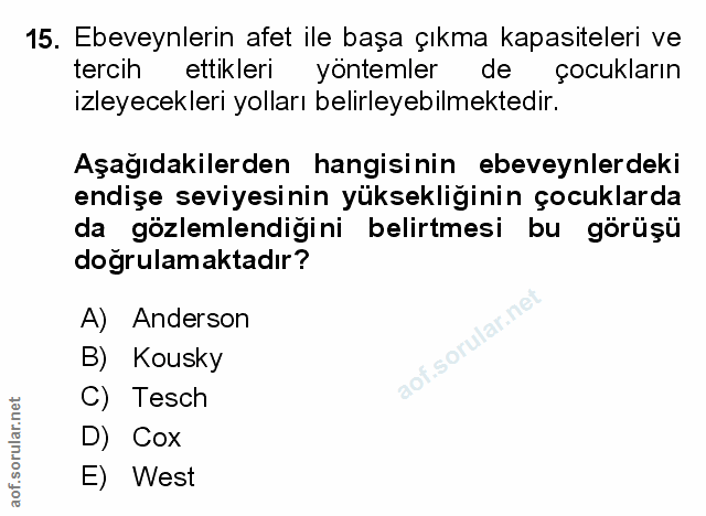 Soru 15
