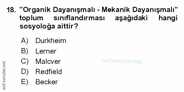 Soru 18