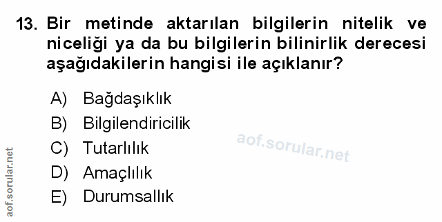 Soru 13