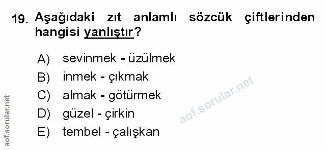 Soru 19