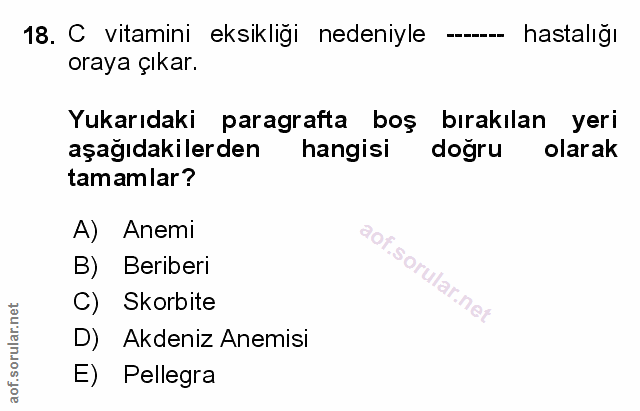 Soru 18