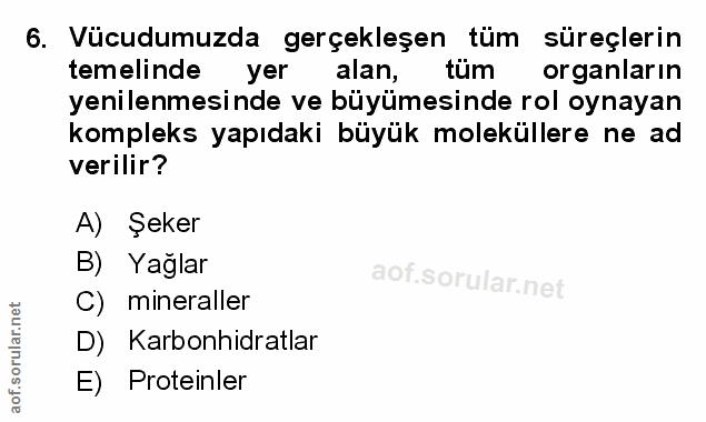 Soru 6