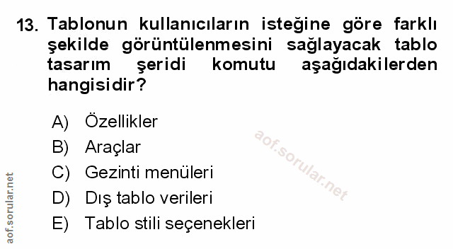 Soru 13