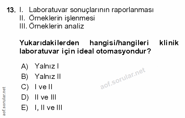 Soru 13