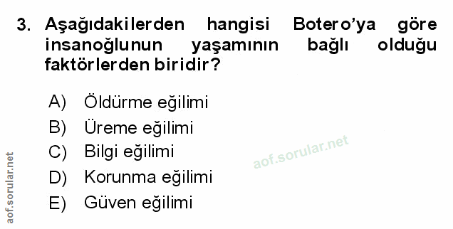 Soru 3