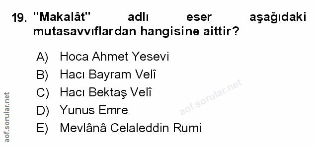 Soru 19